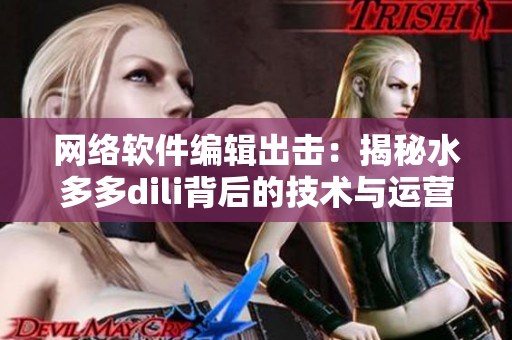 网络软件编辑出击：揭秘水多多dili背后的技术与运营策略！