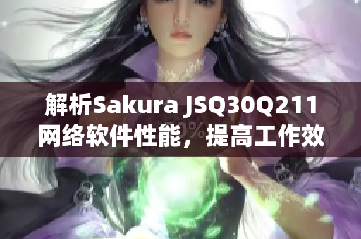 解析Sakura JSQ30Q211网络软件性能，提高工作效率