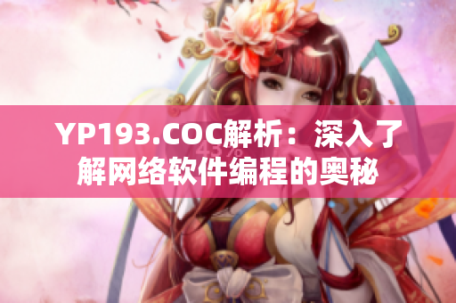 YP193.COC解析：深入了解网络软件编程的奥秘