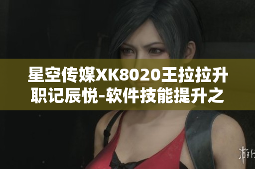 星空传媒XK8020王拉拉升职记辰悦-软件技能提升之路