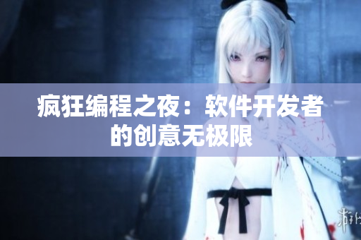 疯狂编程之夜：软件开发者的创意无极限