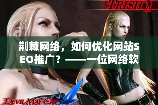 荆棘网络，如何优化网站SEO推广？——一位网络软件编辑的见解