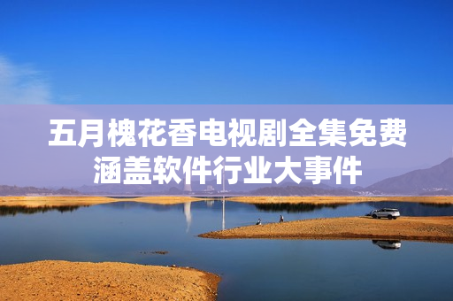 五月槐花香电视剧全集免费涵盖软件行业大事件