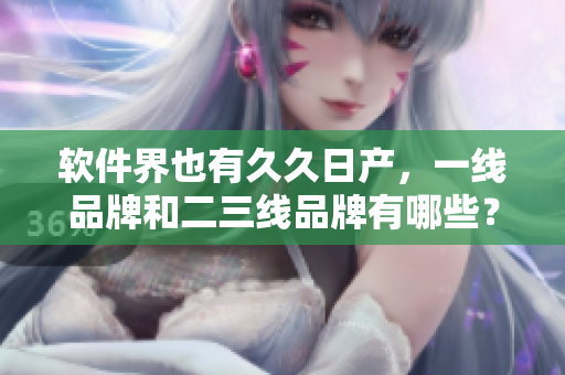 软件界也有久久日产，一线品牌和二三线品牌有哪些？——探寻软件品牌差异