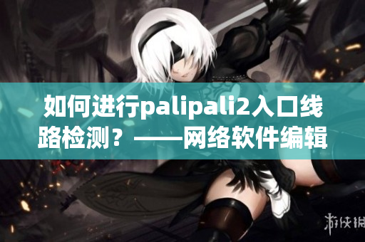 如何进行palipali2入口线路检测？——网络软件编辑教你检测入口线路