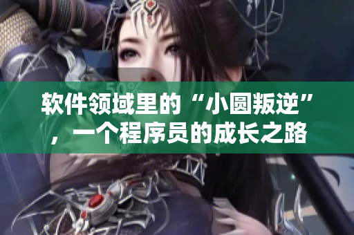 软件领域里的“小圆叛逆”，一个程序员的成长之路