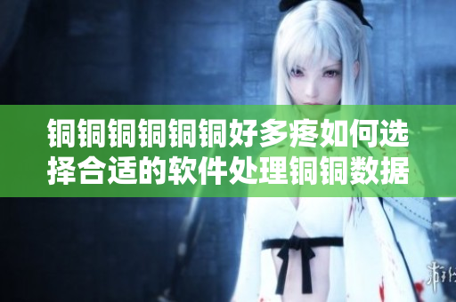 铜铜铜铜铜铜好多疼如何选择合适的软件处理铜铜数据
