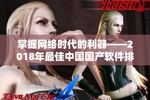 掌握网络时代的利器——2018年最佳中国国产软件排名详解