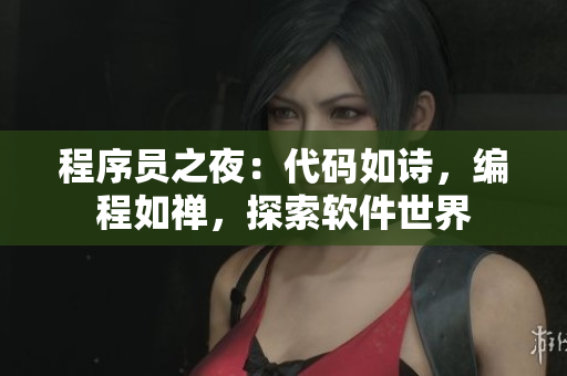 程序员之夜：代码如诗，编程如禅，探索软件世界
