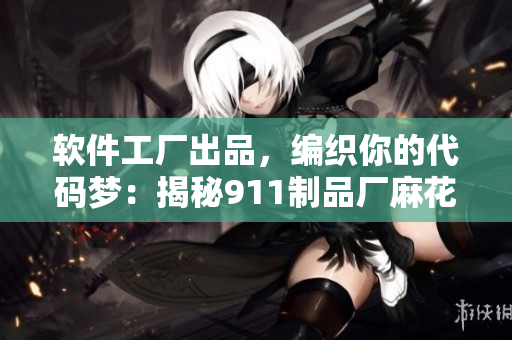 软件工厂出品，编织你的代码梦：揭秘911制品厂麻花式的开发流程