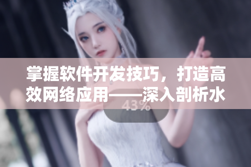 掌握软件开发技巧，打造高效网络应用——深入剖析水多多dili