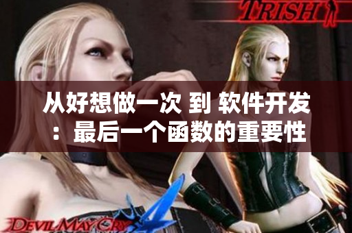 从好想做一次 到 软件开发：最后一个函数的重要性