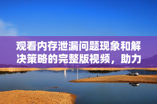 观看内存泄漏问题现象和解决策略的完整版视频，助力企业软件优化