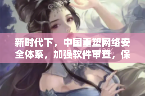 新时代下，中国重塑网络安全体系，加强软件审查，保障数据安全