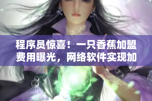 程序员惊喜！一只香蕉加盟费用曝光，网络软件实现加盟轻松起步
