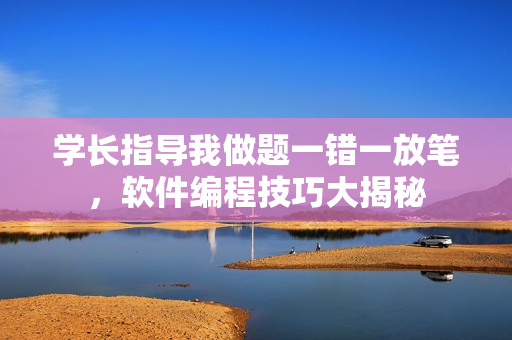 学长指导我做题一错一放笔，软件编程技巧大揭秘