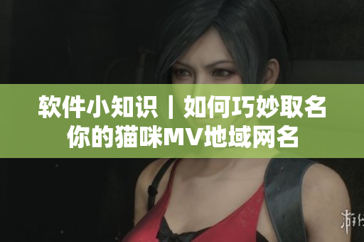 软件小知识｜如何巧妙取名你的猫咪MV地域网名
