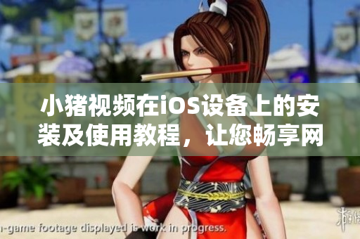 小猪视频在iOS设备上的安装及使用教程，让您畅享网络视频新体验