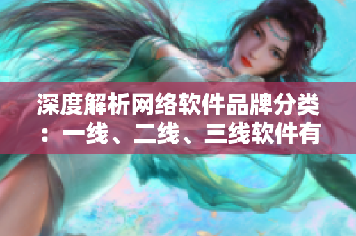 深度解析网络软件品牌分类：一线、二线、三线软件有何区别？