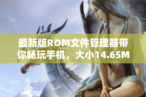 最新版ROM文件管理器带你畅玩手机，大小14.65MB