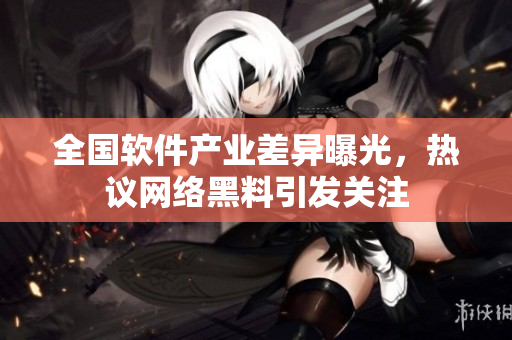 全国软件产业差异曝光，热议网络黑料引发关注