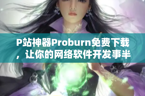 P站神器Proburn免费下载，让你的网络软件开发事半功倍