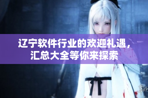 辽宁软件行业的欢迎礼遇，汇总大全等你来探索