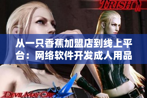 从一只香蕉加盟店到线上平台：网络软件开发成人用品店加盟费用详解