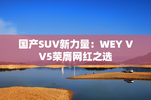 国产SUV新力量：WEY VV5荣膺网红之选