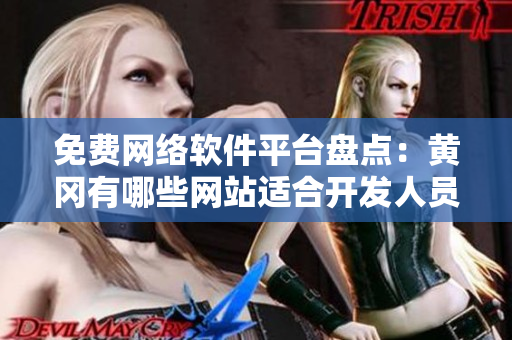 免费网络软件平台盘点：黄冈有哪些网站适合开发人员？