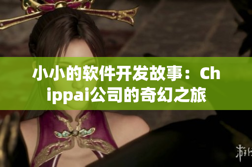 小小的软件开发故事：Chippai公司的奇幻之旅