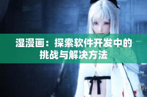 湿漫画：探索软件开发中的挑战与解决方法