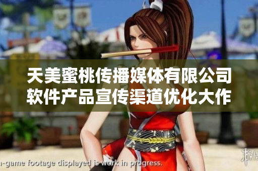 天美蜜桃传播媒体有限公司软件产品宣传渠道优化大作战
