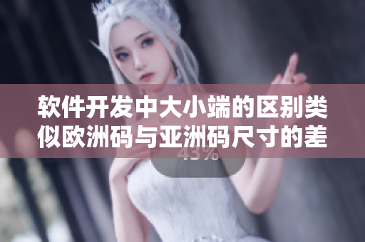 软件开发中大小端的区别类似欧洲码与亚洲码尺寸的差异