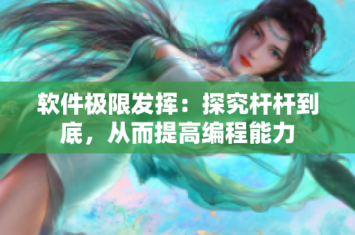 软件极限发挥：探究杆杆到底，从而提高编程能力