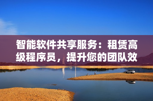 智能软件共享服务：租赁高级程序员，提升您的团队效率