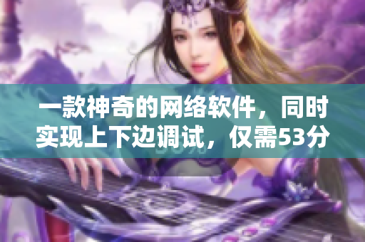 一款神奇的网络软件，同时实现上下边调试，仅需53分钟
