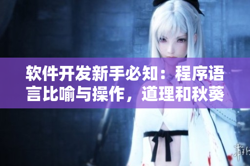 软件开发新手必知：程序语言比喻与操作，道理和秋葵一样重要！