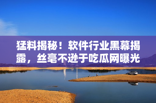 猛料揭秘！软件行业黑幕揭露，丝毫不逊于吃瓜网曝光！