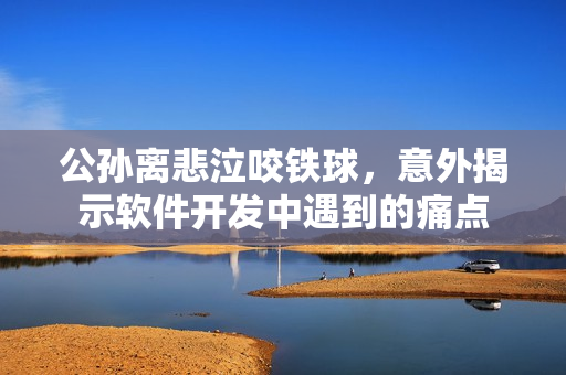 公孙离悲泣咬铁球，意外揭示软件开发中遇到的痛点