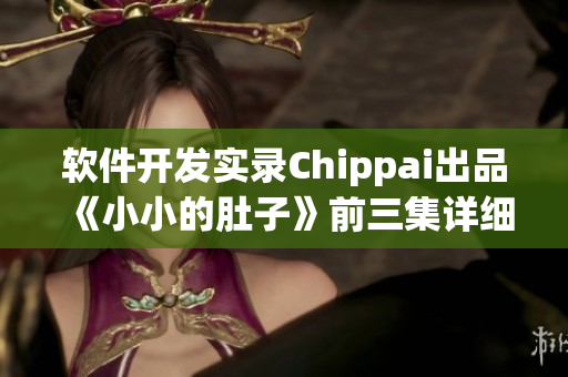 软件开发实录Chippai出品《小小的肚子》前三集详细解析