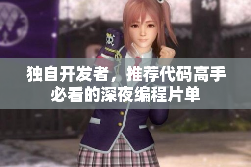 独自开发者，推荐代码高手必看的深夜编程片单