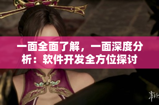 一面全面了解，一面深度分析：软件开发全方位探讨