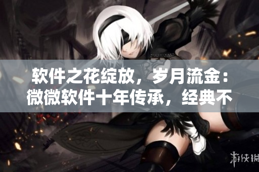 软件之花绽放，岁月流金：微微软件十年传承，经典不衰