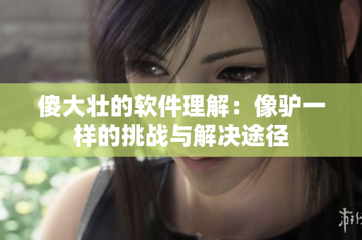 傻大壮的软件理解：像驴一样的挑战与解决途径