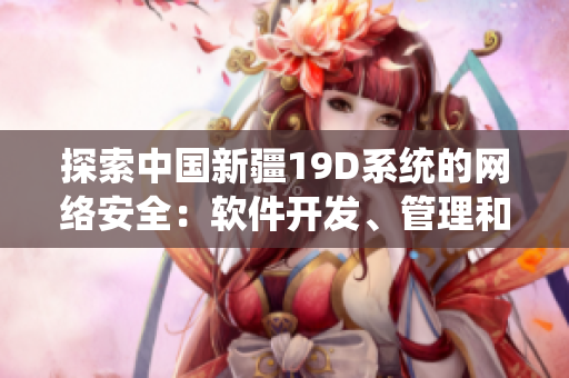 探索中国新疆19D系统的网络安全：软件开发、管理和应用