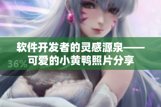 软件开发者的灵感源泉——可爱的小黄鸭照片分享