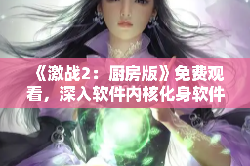《激战2：厨房版》免费观看，深入软件内核化身软件大神！