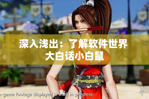 深入浅出：了解软件世界 大白话小白鼠