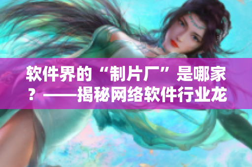软件界的“制片厂”是哪家？——揭秘网络软件行业龙头公司